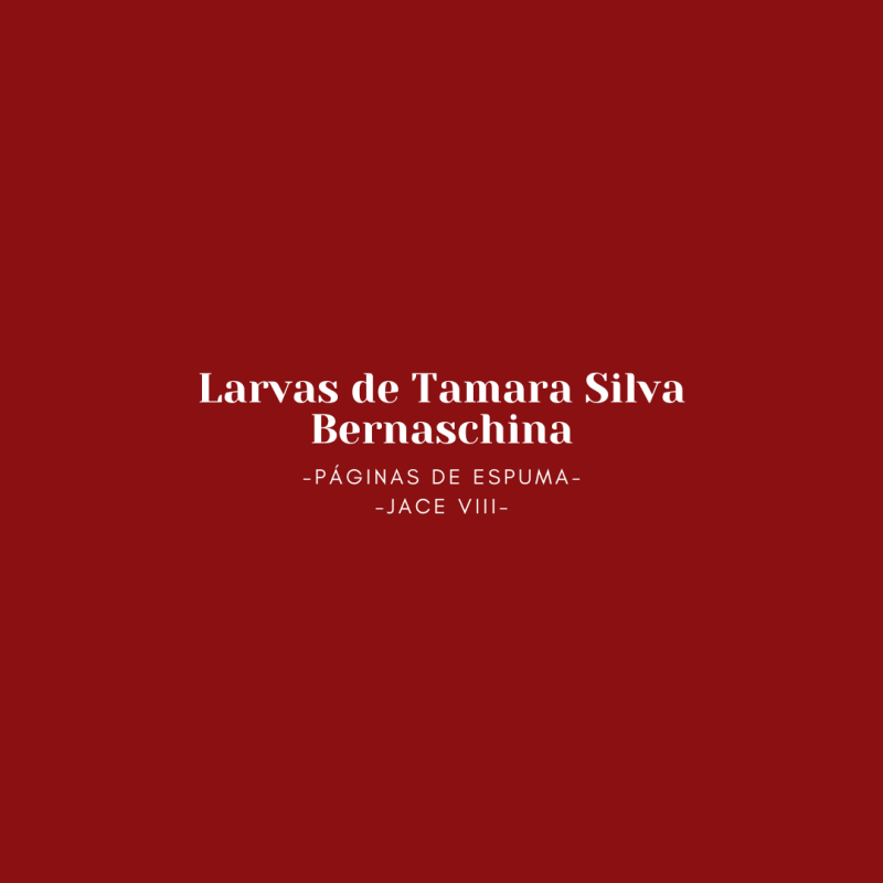 Larvas de Tamara Silva Bernaschina
